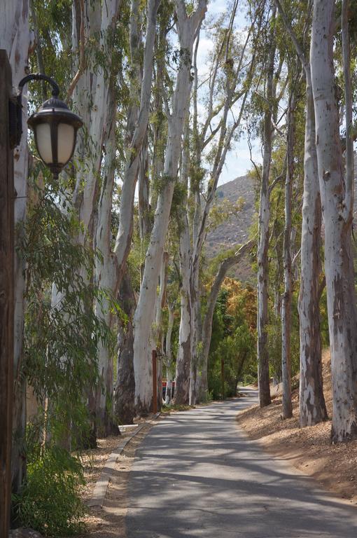 Bandy Canyon Ranch Escondido Bagian luar foto